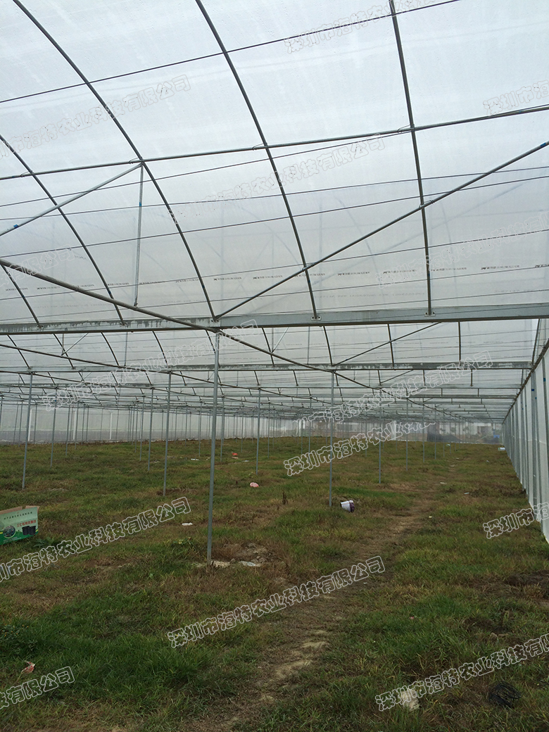 廣州綠垠農業科技發展有限公司