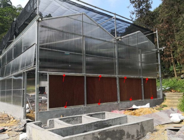 東莞市林業科學園雙尖頂PC陽光板溫室工程項目